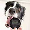 Dog Nose & Paw Balm (Shea, Rosehip, Calendula & Vitamin E)